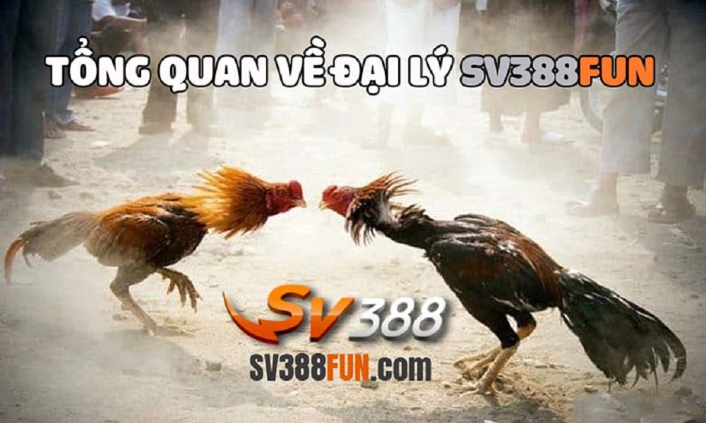 Giới thiệu tổng quan về hệ thống SV388 Fun